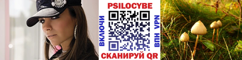 кракен сайт  где найти наркотики  Элиста  Галлюциногенные грибы ЛСД 